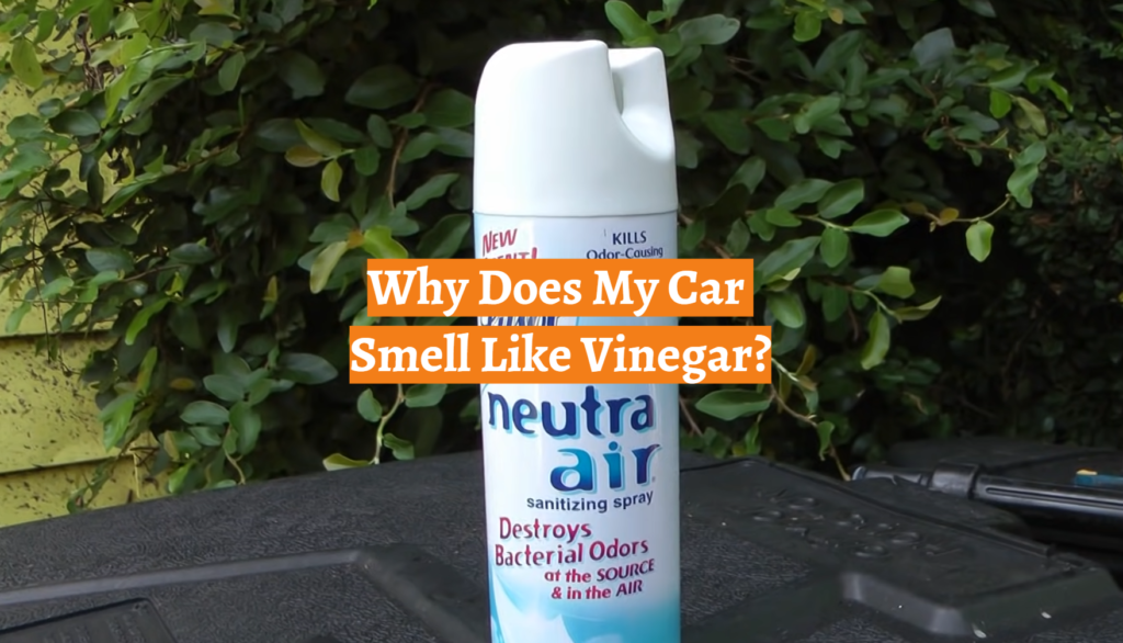 Why Does My Car Smell Like Vinegar? CarProfy