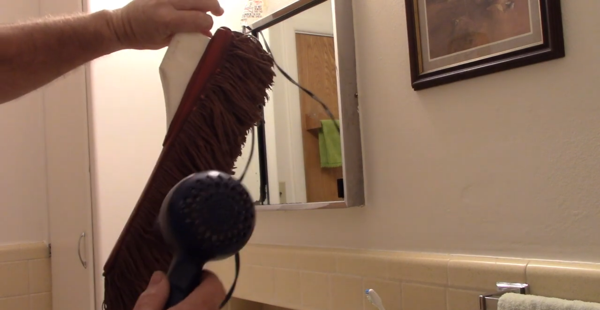 Shampoo the Brush